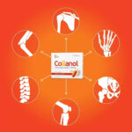 Collanol-Kapsel, gesunde Gelenke, intakte Kollagenknochen+Curcumin - Image 3